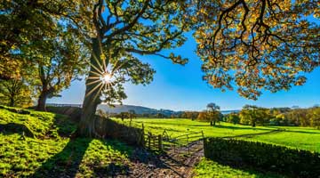 Wandelen
